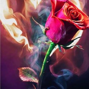 Meet your Posher, Kerry